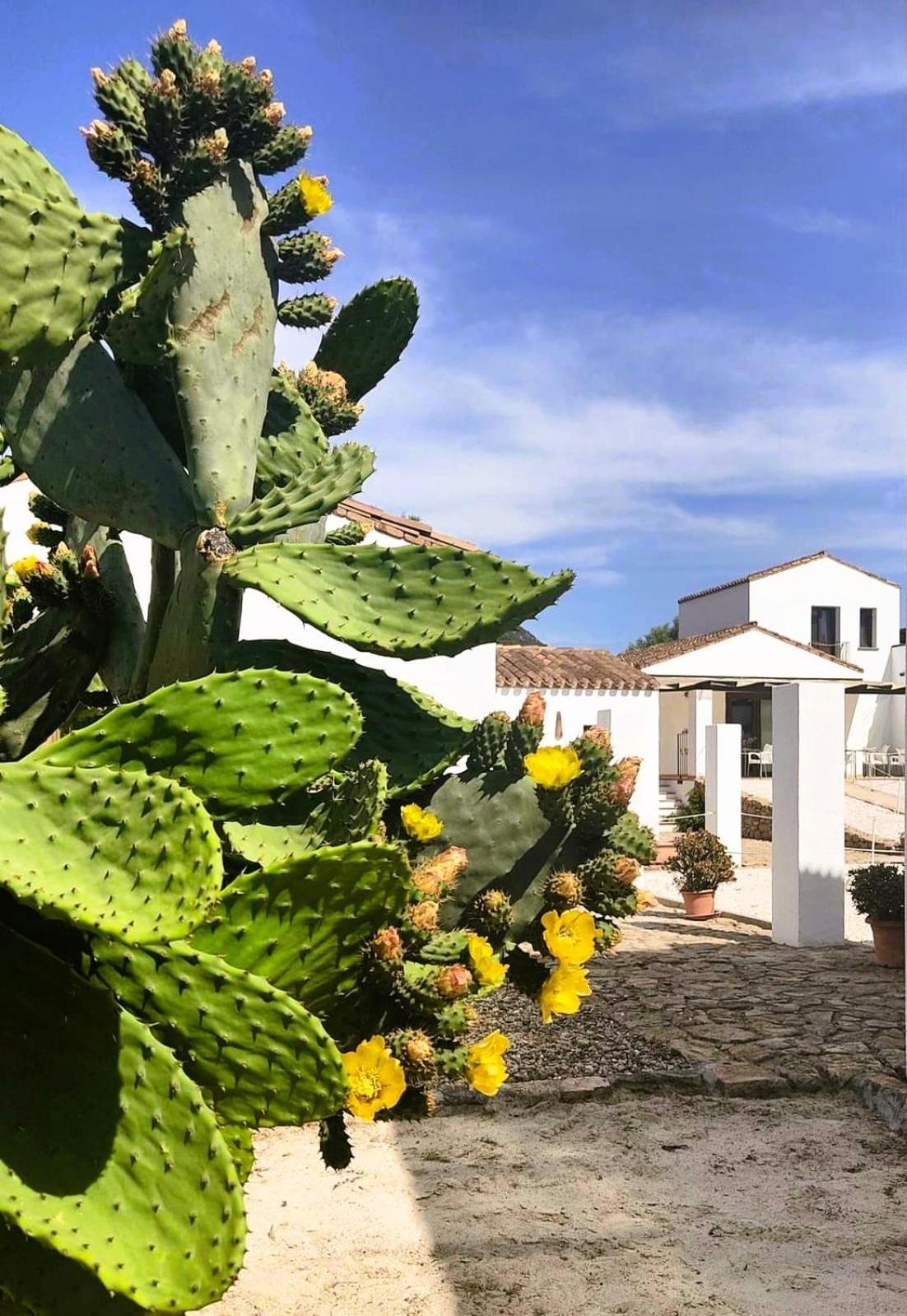 Cort'e Nastasj Hotel 3*